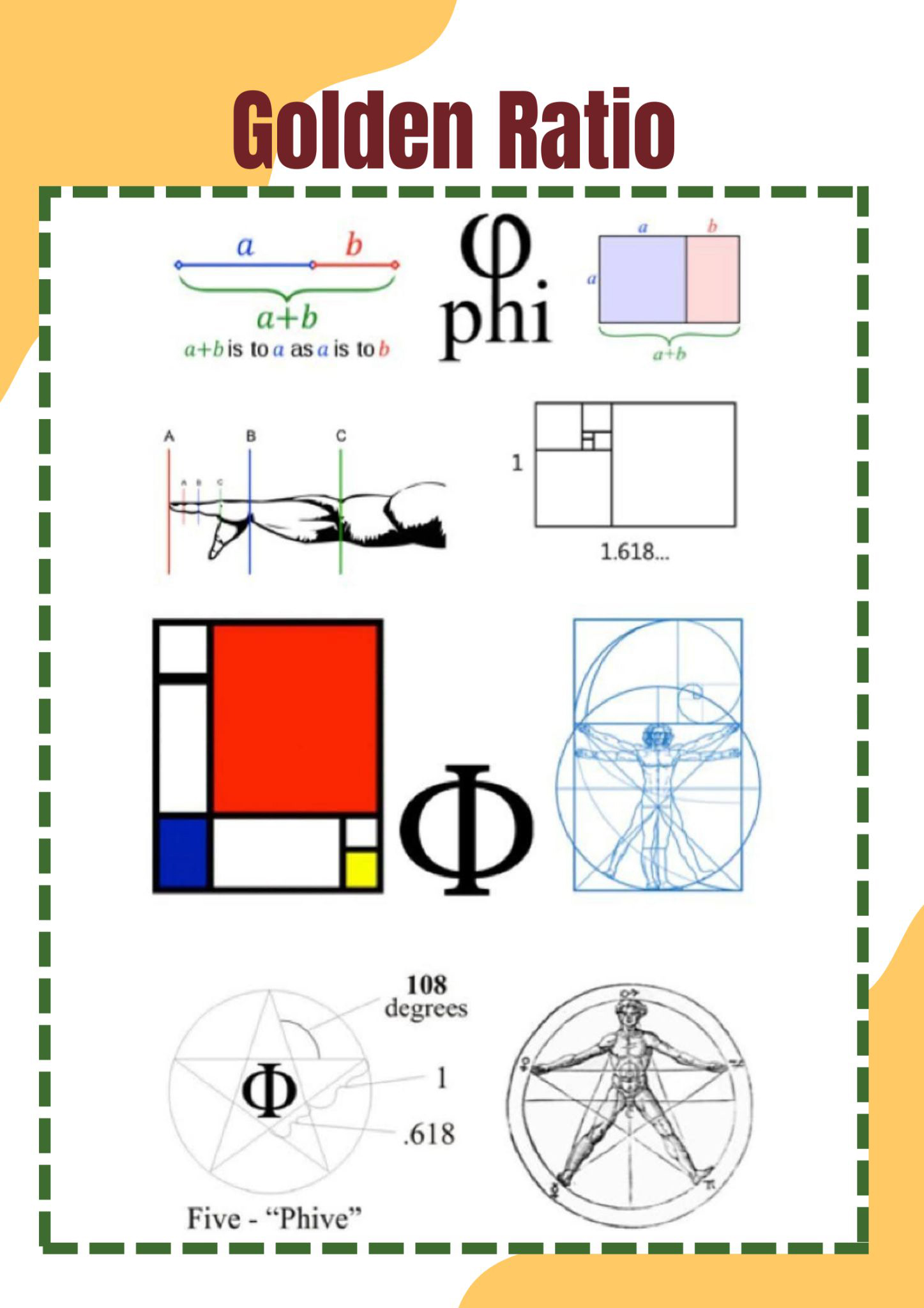 1D to 4D visualization panels
