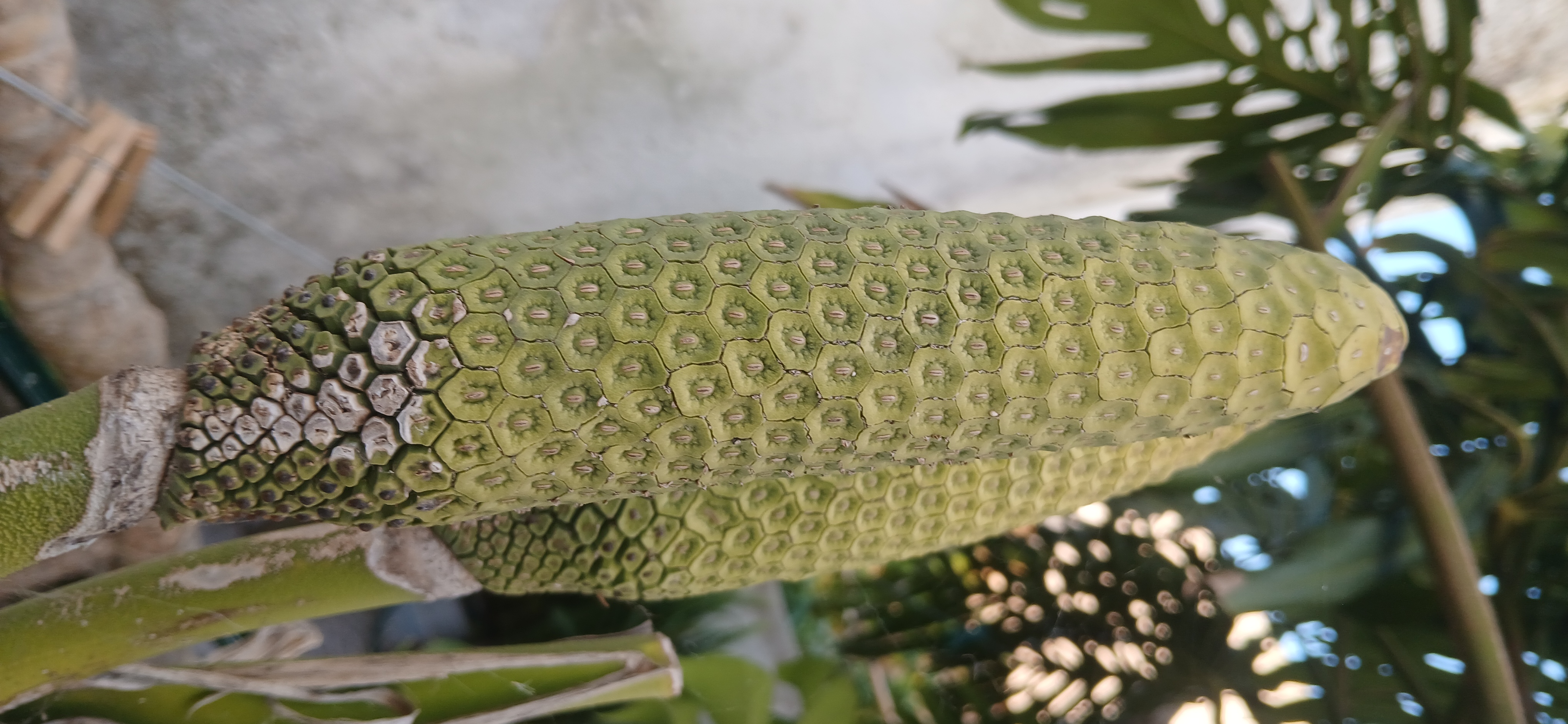 1D to 4D visualization panels