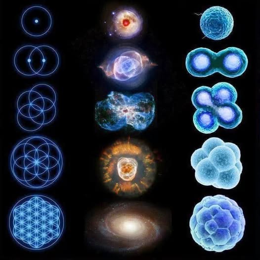 1D to 4D visualization panels