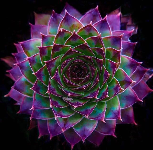 1D to 4D visualization panels