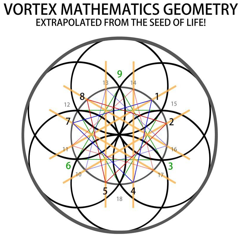 1D to 4D visualization panels