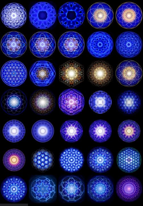 1D to 4D visualization panels