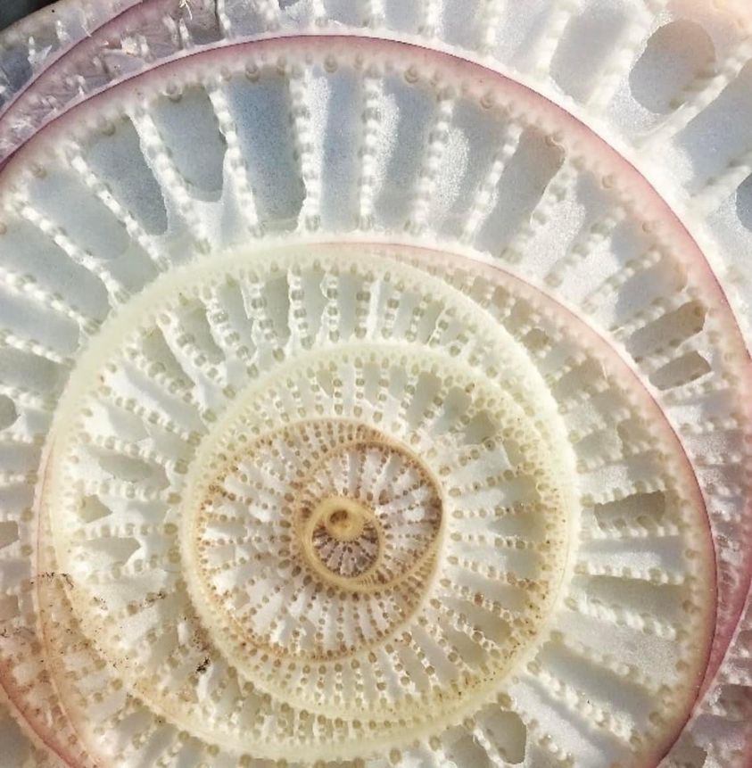 1D to 4D visualization panels