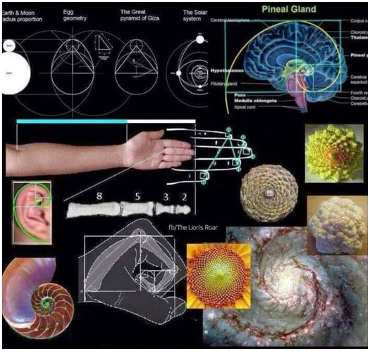 1D to 4D visualization panels