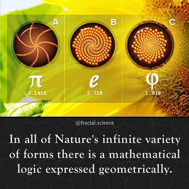 1D to 4D visualization panels