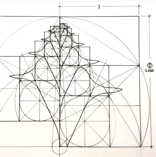 1D to 4D visualization panels