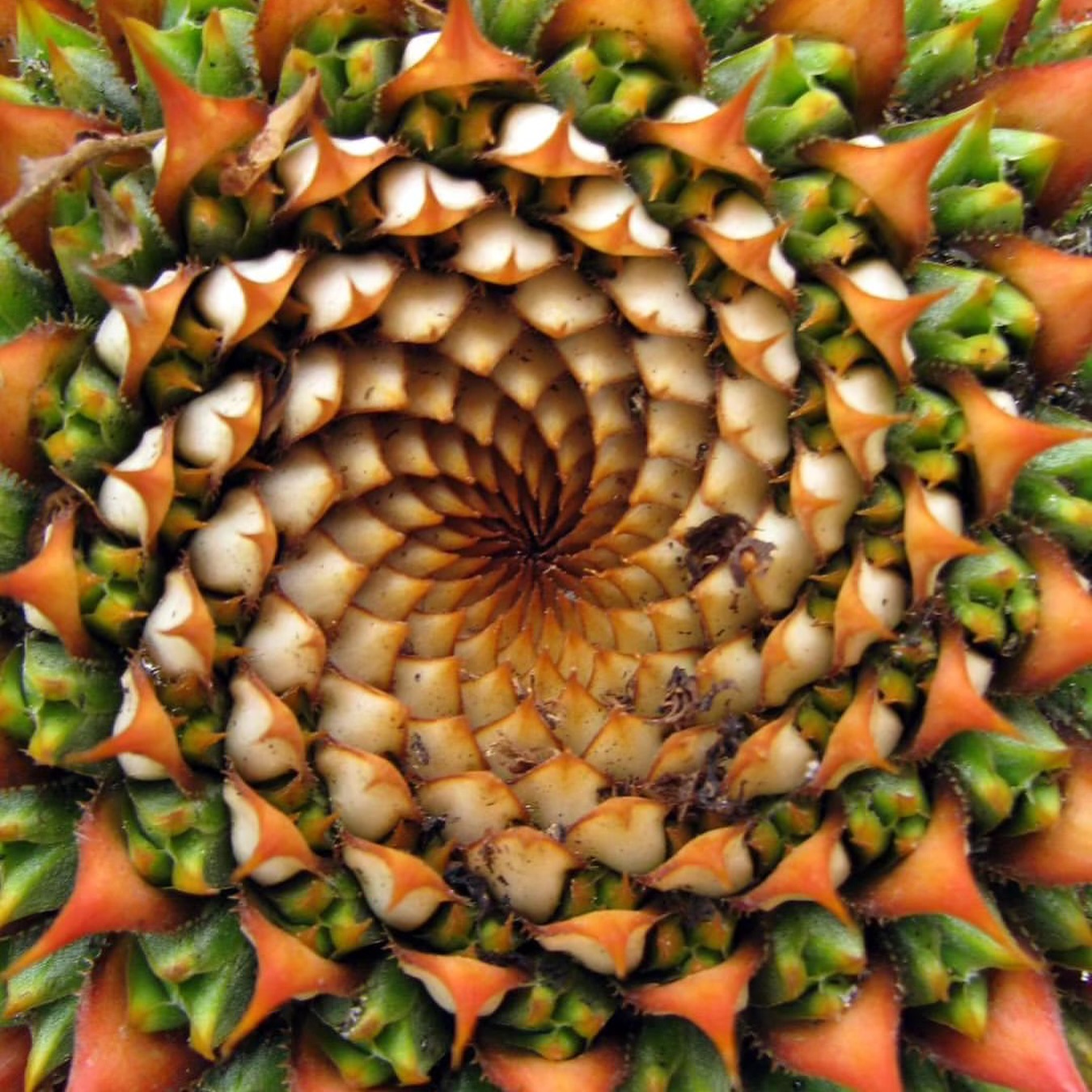 1D to 4D visualization panels