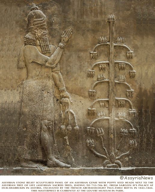 1D to 4D visualization panels