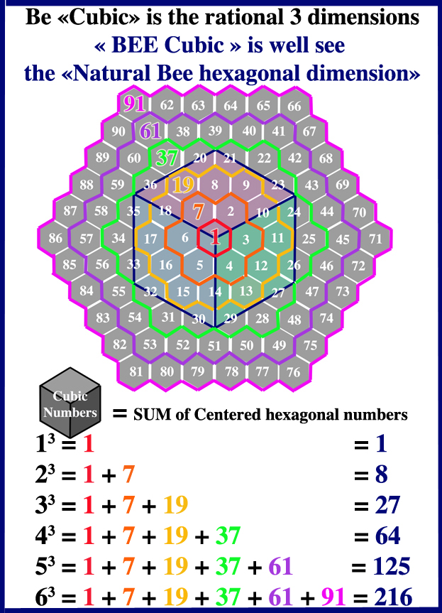 1D to 4D visualization panels