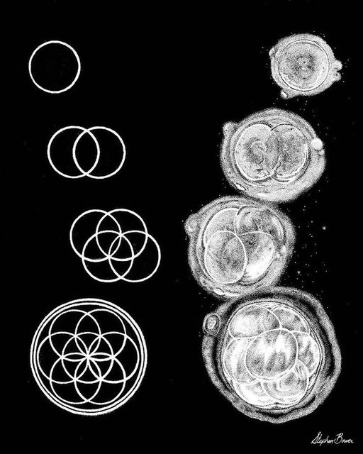 1D to 4D visualization panels