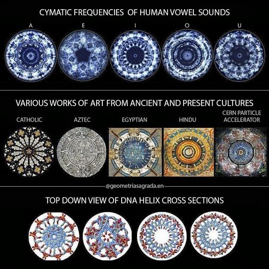 1D to 4D visualization panels