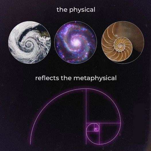 1D to 4D visualization panels