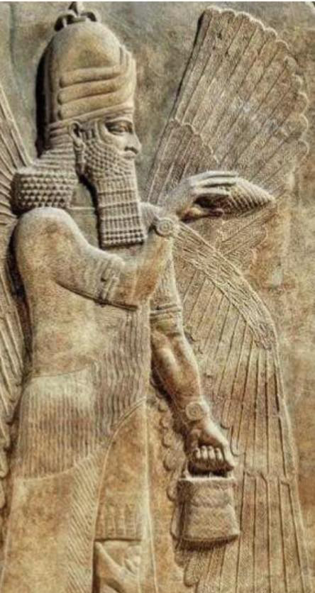 1D to 4D visualization panels