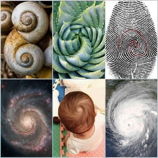 1D to 4D visualization panels