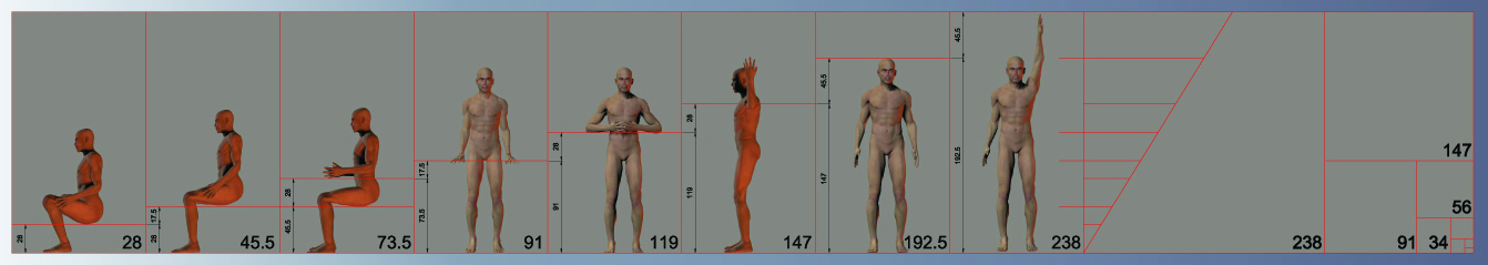 Rasart modular strip — human measurements (wide)